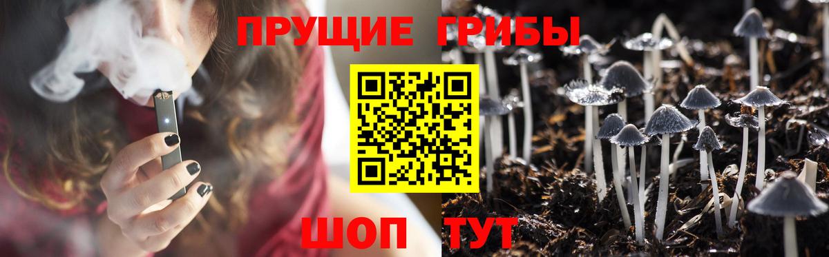 купить наркотик  Псилоцибиновые грибы Cubensis  Вход с VPN  Губаха 